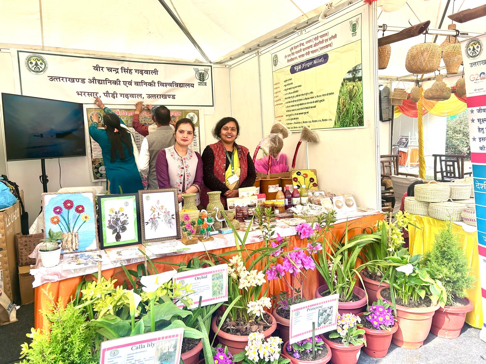 Flower festival 2026 Deharadun